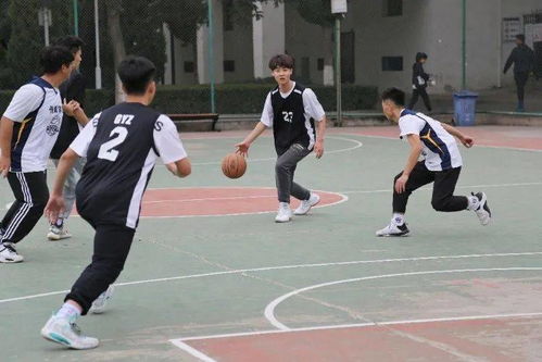 篮筐下的热血 在球场上书写青春